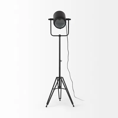 Homezia 61" Black Movie Set Floor Lamp