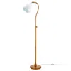 Homezia 68" Brass Adjustable Reading Floor Lamp With White Frosted Glass Dome Shade