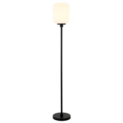 Homezia 69" Black Novelty Floor Lamp With White Frosted Glass Globe Shade