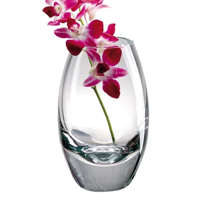 Homezia 9 Mouth Blown Crystal European Made Vase