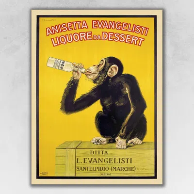 Homezia Anisetta Evangelisti Italian Liquor Unframed Print Wall Art