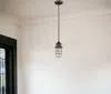 Homezia Antique Bronze Cage Pendant Hanging Light