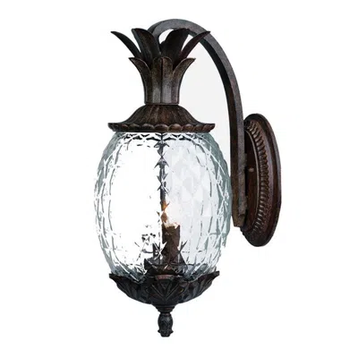 Homezia Antique Bronze Hanging Pineapple Wall Light In Black
