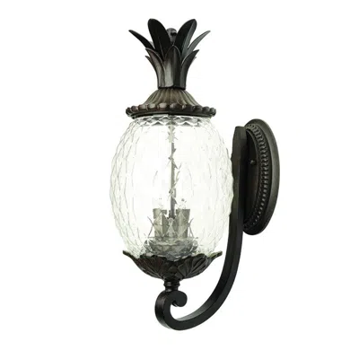 Homezia Antique Bronze Pineapple Wall Light In Black