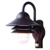 Homezia Antiqued Bronze Motion Sensor Outdoor Wall Light