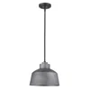 Homezia Barnes 1-light Gray Convertible Pendant