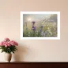 Homezia Bloom Where You Are Planted White Framed Print Wall Art