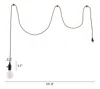 Homezia Brass Lantern Plastic Dimmable Ceiling Light