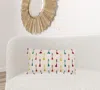 Homezia Bright Tone Feathered Arrows Lumbar Pillow