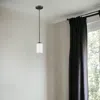 Homezia Bronze Frosted Glass Hanging Light