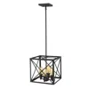 Homezia Brooklyn 4-light Matte Black Pendant With Metal Framework Shade