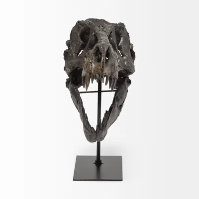 Homezia Brown Resin Tyrannosaurus Rex Skull Decor Piece In Blue
