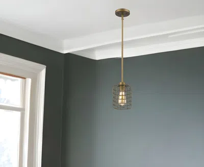 Homezia Brushed Gold Metal Cage Hanging Light