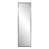 Homezia Brushed Titanium Rectangular Full Length Wall Mirror