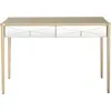 Homezia Champagne Finish Console Table