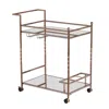 Homezia Champagne Metal And Mirrored Glass Bar Cart With Wine Storage