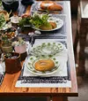 Homezia Clear And Green Four Piece Palm Tree Acrylic Service For Four Dinner Plate Set In Multi