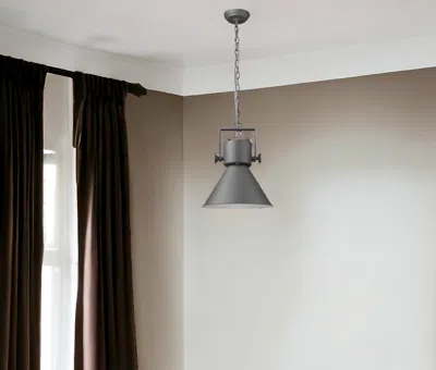 Homezia Crew 1-light Gray Pendant In Black