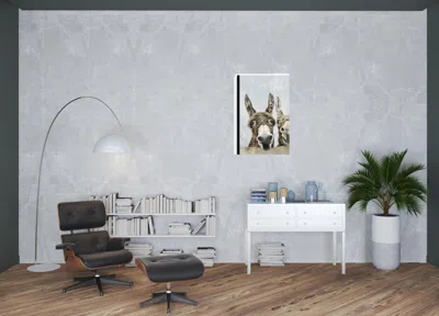 Homezia Cute Donkeys Canvas Unframed Print Wall Art