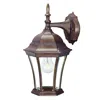 Homezia Dark Brown Hanging Carousel Lantern Wall Light