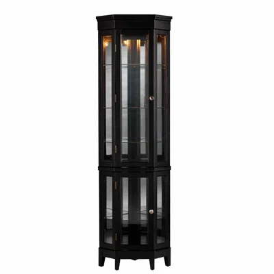 Homezia Elegant Black Lighted Curio Cabinet