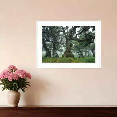 Homezia Enchanted Forest I 2 White Framed Print Wall Art In Green
