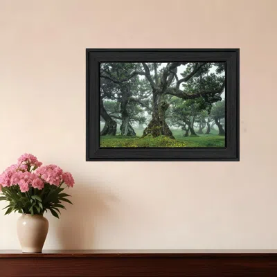 Homezia Enchanted Forest I 3 Black Framed Print Wall Art In Green