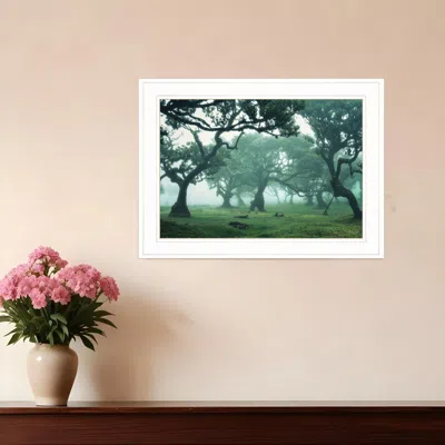 Homezia Enchanted Forest Ii 2 White Framed Print Wall Art