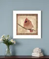 Homezia Female Cardinal 1 White Framed Print Wall Art