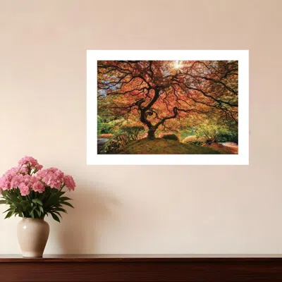 Homezia First Colors Of Fall I 1 White Framed Print Wall Art