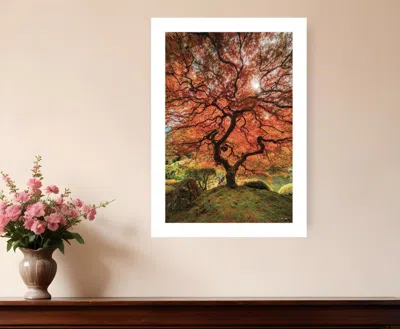 Homezia First Colors Of Fall Ii 1 White Framed Print Wall Art In Multi