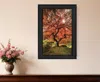 Homezia First Colors Of Fall Ii 2 Black Framed Print Wall Art