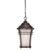 Homezia Frosted Glass Bronze Lantern Hanging Light