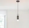 Homezia Glass And Bronze Mesh Shade Hanging Light