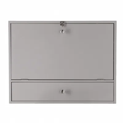 Homezia Gray Wall Mount Folding Desk