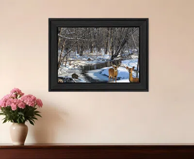 Homezia Great Outdoors Nature 1 Black Framed Print Wall Art In Multi