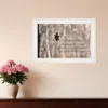 Homezia Hang In There 1 White Framed Print Wall Art