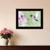 Homezia Humming Bird 2 Black Framed Print Wall Art