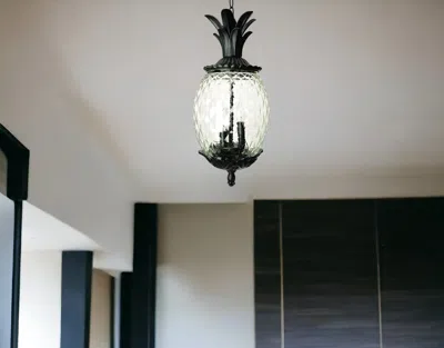 Homezia Lanai 3-light Black Coral Hanging Light In Burgundy
