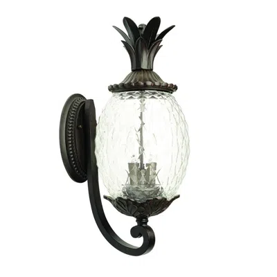 Homezia Lanai 3-light Black Coral Wall Light
