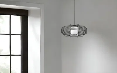 Homezia Loft 1-light Oil-rubbed Bronze Wire Globe Pendant With Etched Glass Interior Shade In Black