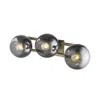 Homezia Lunette 3-light Aged Brass Sconce