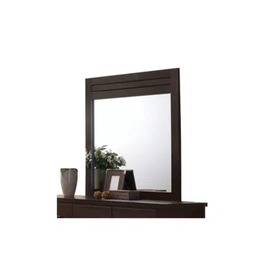 Homezia Mahogany Rectangle Dresser Mirror
