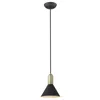 Homezia Matte Black And Gold Conical Pendant Hanging Light