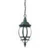 Homezia Matte Black Glass Globe Hanging Light