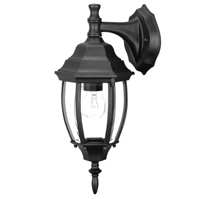 Homezia Matte Black Hanging Globe Lantern Wall Light In Animal Print