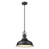 Homezia Matte Black Hanging Light With Dome Shade
