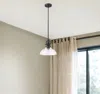 Homezia Matte Black Hanging Light With Glass Dome Shade