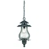 Homezia Matte Black Oil Lantern Hanging Light