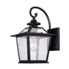 Homezia Matte Black Terrarium Shape Wall Light